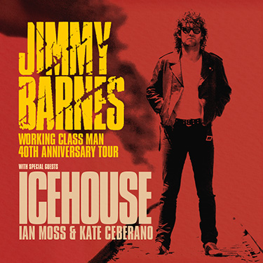 F2F Website 375px w x 375px h